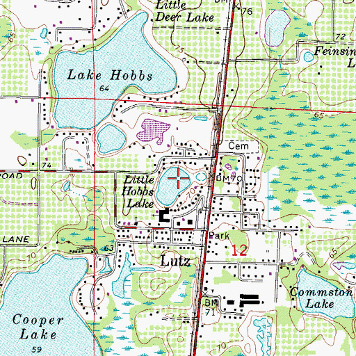 Topographic Map of Little Hobbs Lake, FL