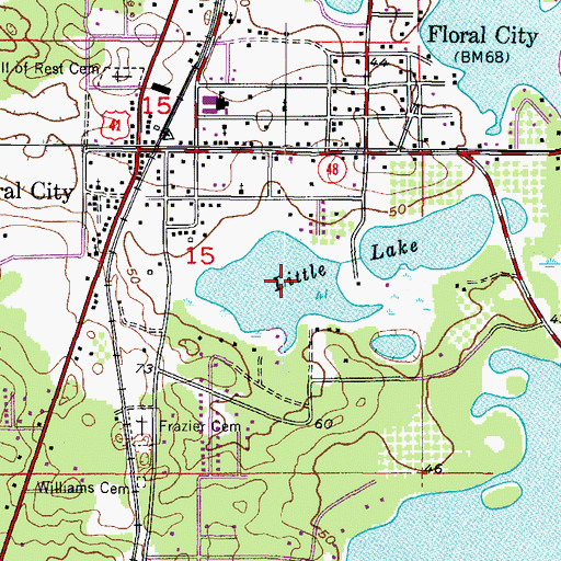 Topographic Map of Little Lake, FL