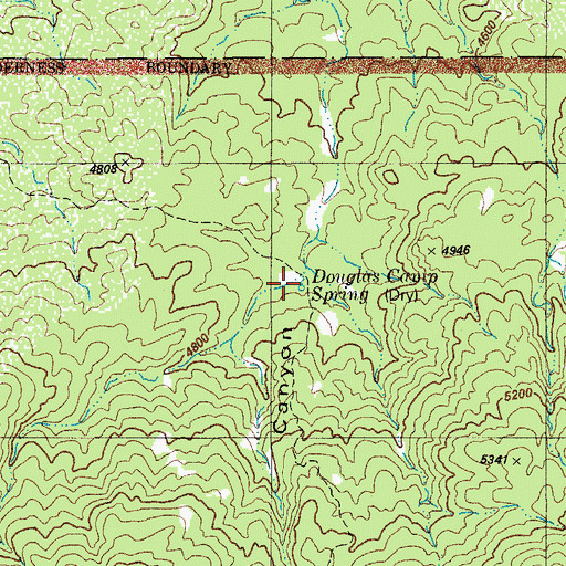 Topographic Map of Douglas Camp Spring, AZ