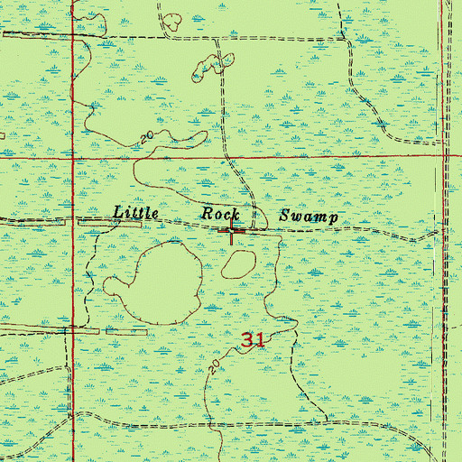 Topographic Map of Little Rock Swamp, FL