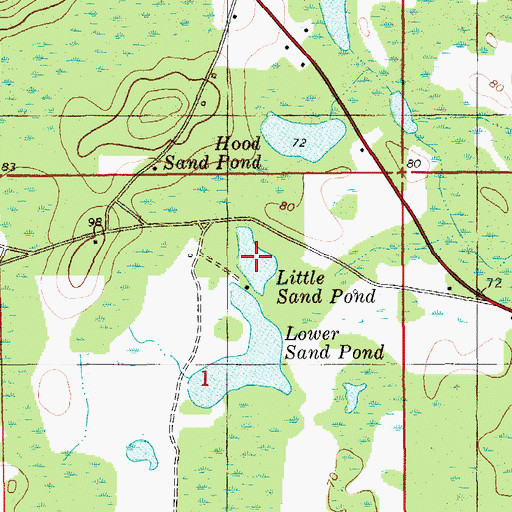 Topographic Map of Little Sand Pond, FL