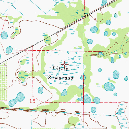 Topographic Map of Little Sawgrass, FL