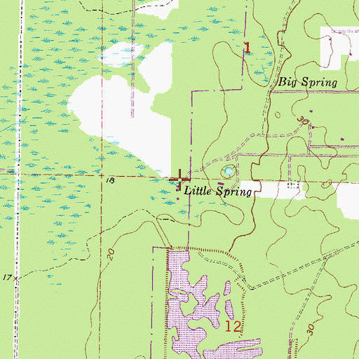 Topographic Map of Little Spring, FL