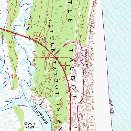 Topographic Map of Little Talbot Island, FL