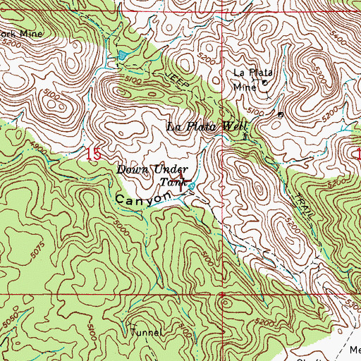 Topographic Map of Down Under Tank, AZ