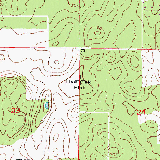 Topographic Map of Live Oak Flat, FL