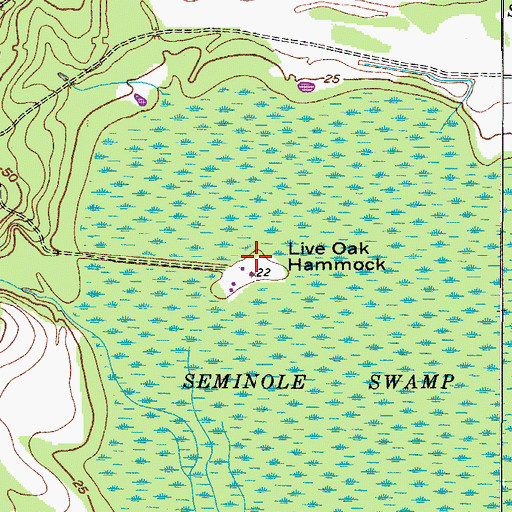 Topographic Map of Live Oak Hammock, FL