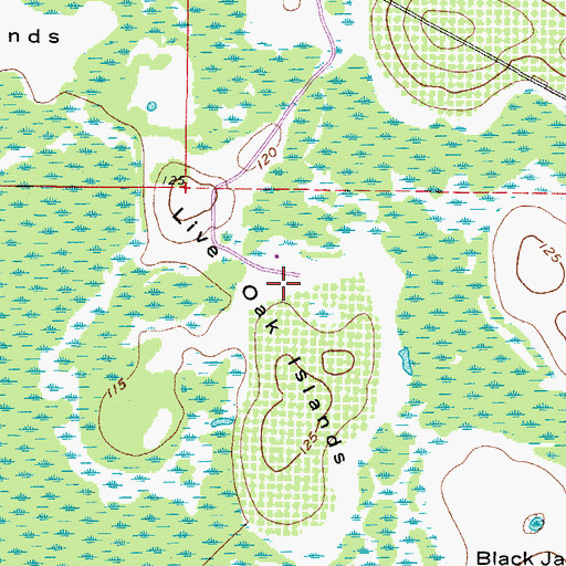 Topographic Map of Live Oak Islands, FL