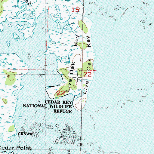 Topographic Map of Live Oak Key, FL