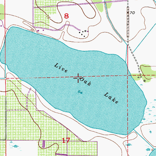 Topographic Map of Live Oak Lake, FL