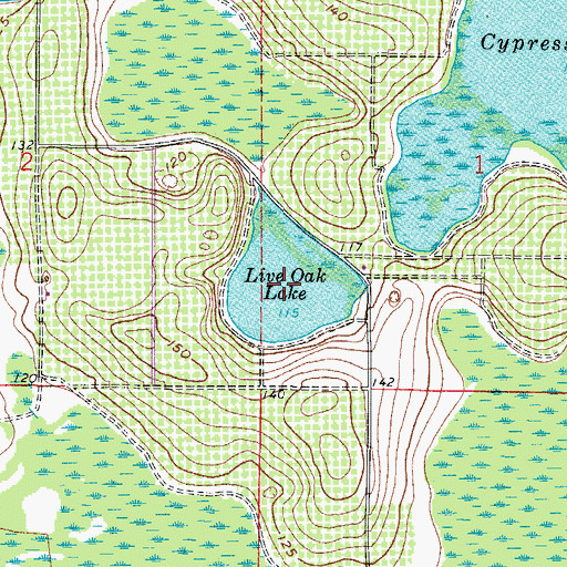 Topographic Map of Live Oak Lake, FL