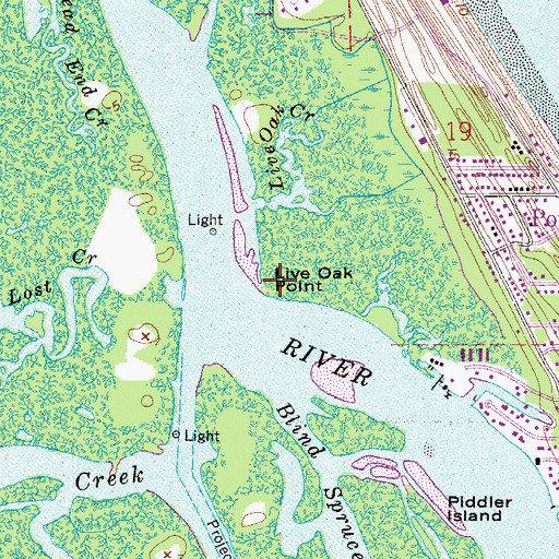 Topographic Map of Live Oak Point, FL