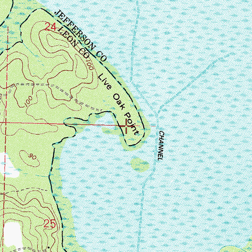 Topographic Map of Live Oak Point, FL