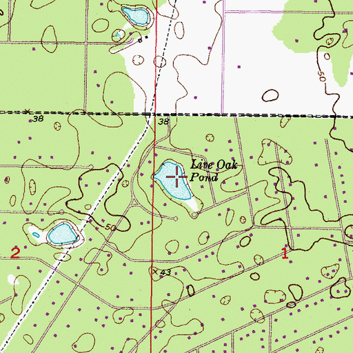 Topographic Map of Live Oak Pond, FL