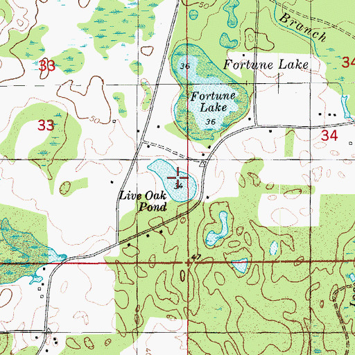 Topographic Map of Live Oak Pond, FL