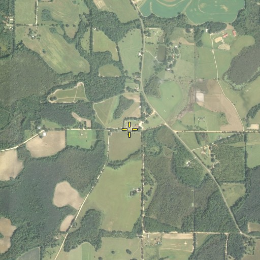 Aerial/Satellite Image of Live Oak School, FL