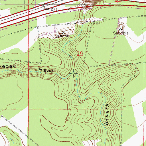 Topographic Map of Liveoak Head, FL