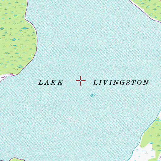 Topographic Map of Lake Livingston, FL