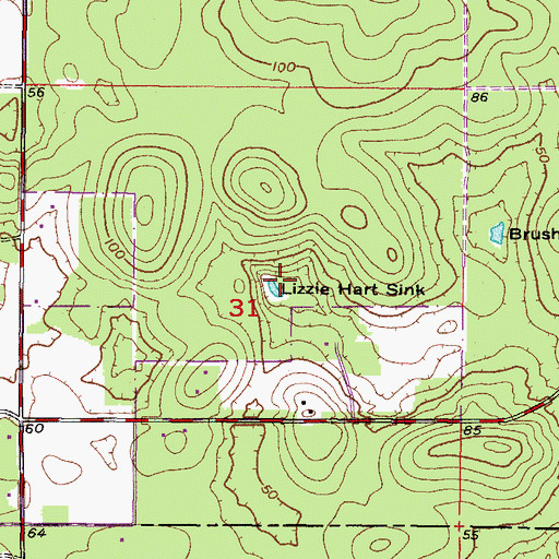 Topographic Map of Lizzie Hart Sink, FL