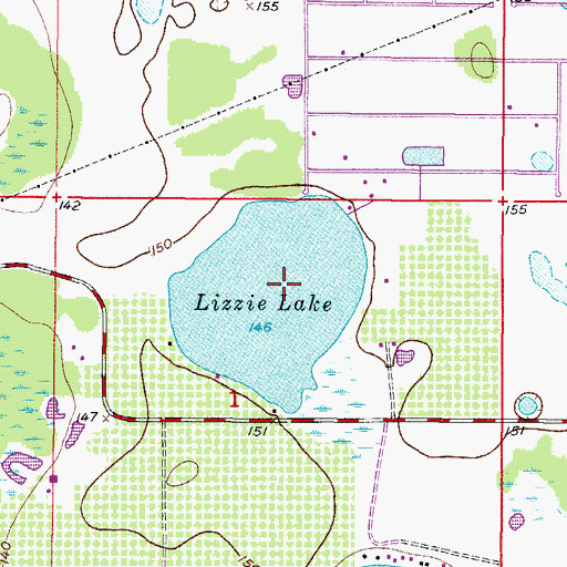 Topographic Map of Lizzie Lake, FL