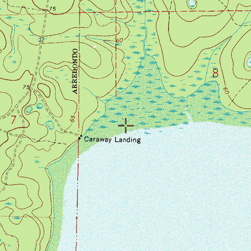 Topographic Map of Lochloosa Creek, FL
