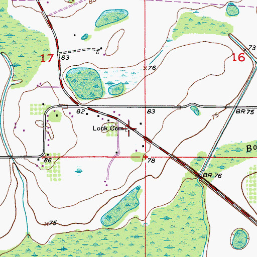 Topographic Map of Lock Cemetery, FL