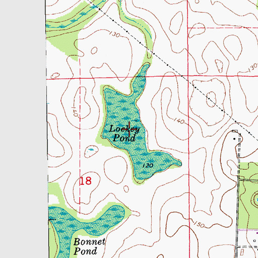 Topographic Map of Lockey Pond, FL