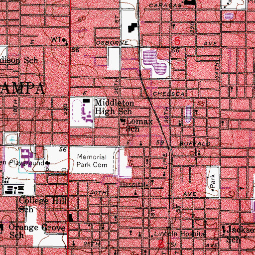 Topographic Map of Lomax Elementary Magnet School, FL