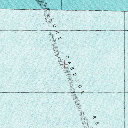 Topographic Map of Lone Cabbage Reef, FL