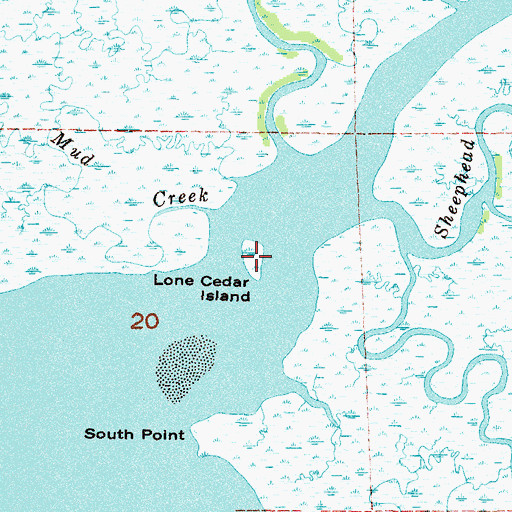 Topographic Map of Lone Cedar Island, FL