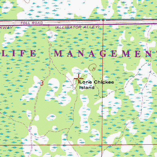 Topographic Map of Lone Chicken Island, FL