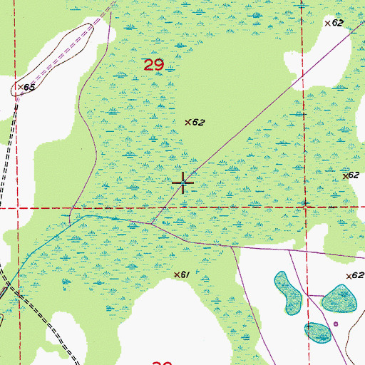 Topographic Map of Lonesome Camp Swamp, FL