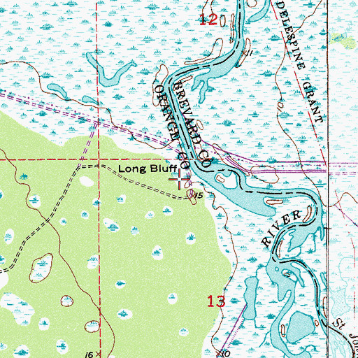 Topographic Map of Long Bluff, FL