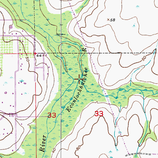 Topographic Map of Long Branch, FL