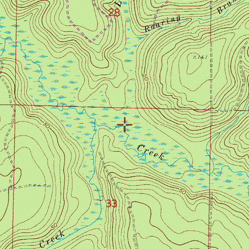 Topographic Map of Long Branch, FL
