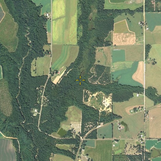Aerial/Satellite Image of Long Branch, FL
