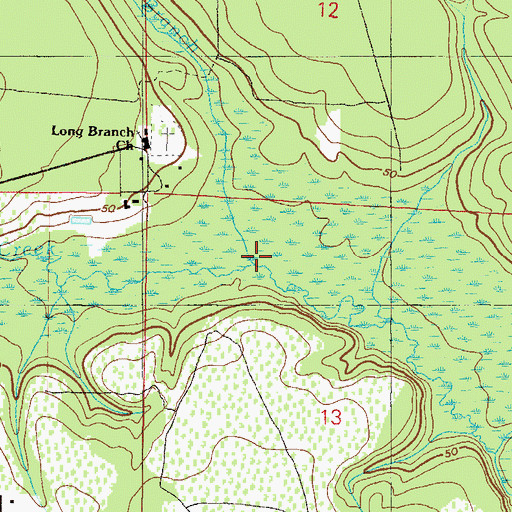 Topographic Map of Long Branch, FL