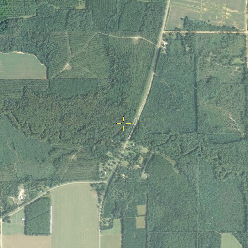 Aerial/Satellite Image of Long Branch, FL