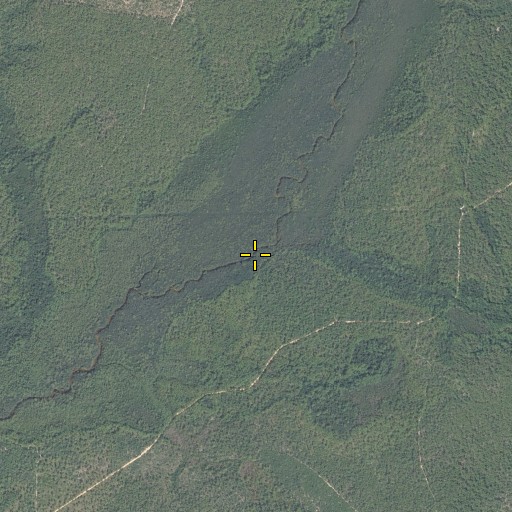 Aerial/Satellite Image of Long Creek, FL