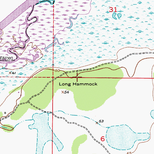 Topographic Map of Long Hammock, FL