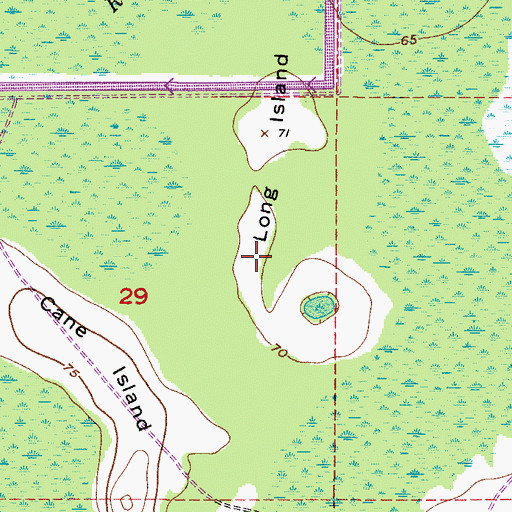 Topographic Map of Long Island, FL