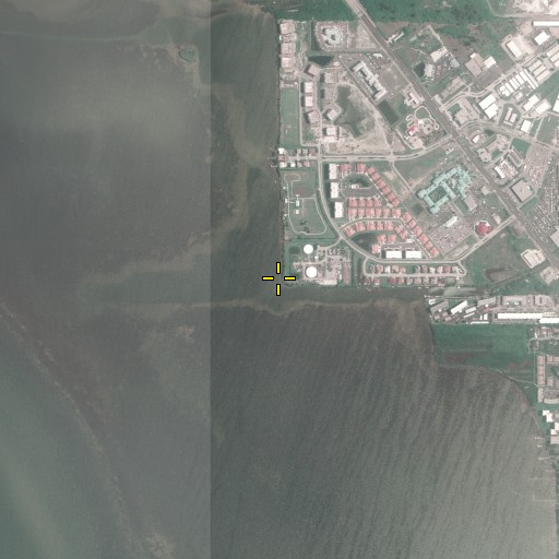 Aerial/Satellite Image of Long Point, FL