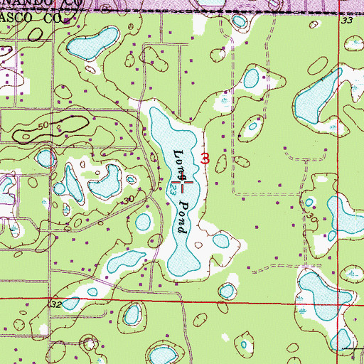 Topographic Map of Long Pond, FL