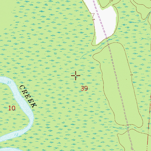 Topographic Map of Long Swamp, FL