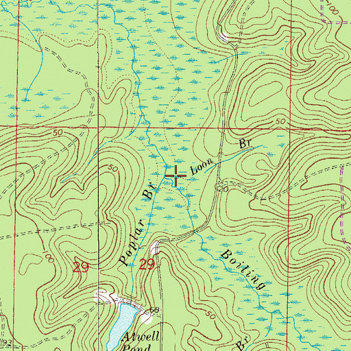 Topographic Map of Loon Branch, FL