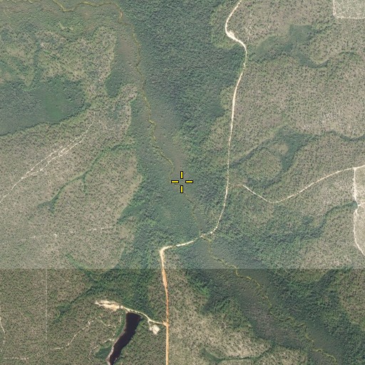 Aerial/Satellite Image of Loon Branch, FL