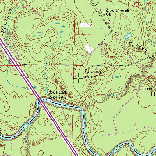 Topographic Map of Louisa Pond, FL