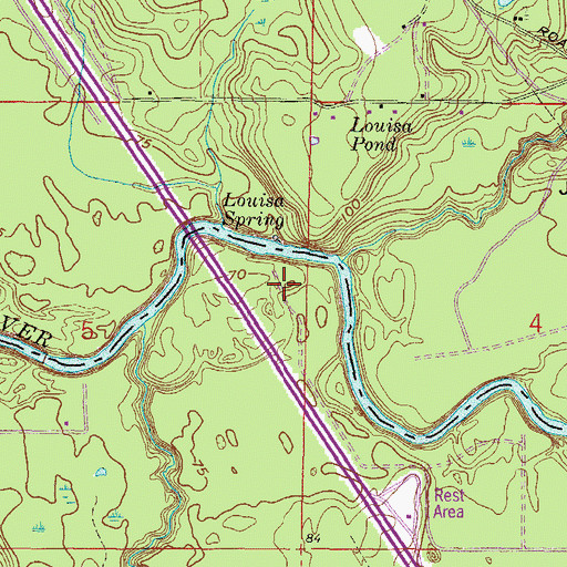 Topographic Map of Louisa Spring, FL