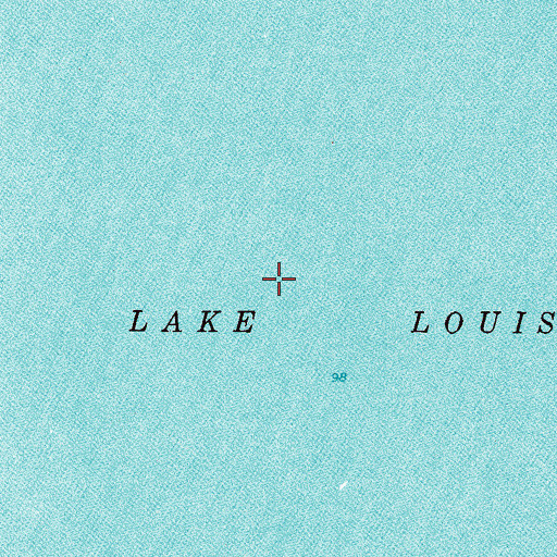 Topographic Map of Lake Louisa, FL