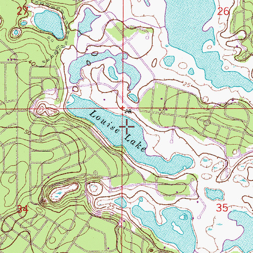 Topographic Map of Louise Lake, FL